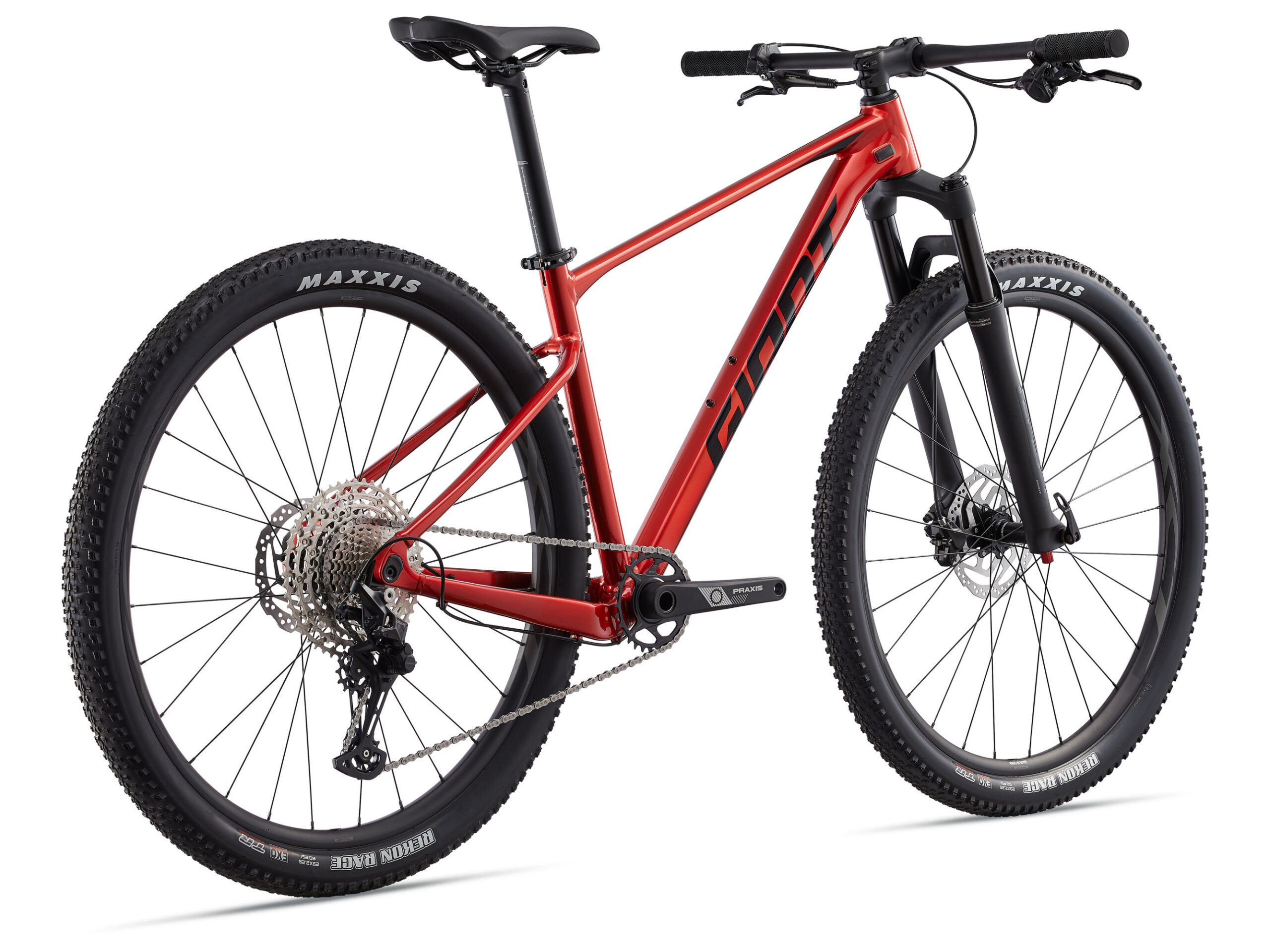 XTC SLR 29 2 - immagine 2